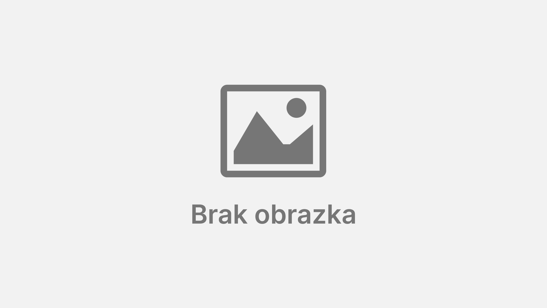 Międzynarodowa Konferencja Mobilności Zawodowej w Bielsku-Białej Międzynarodowa Konferencja Mobilności Zawodowej w Bielsku-Białej